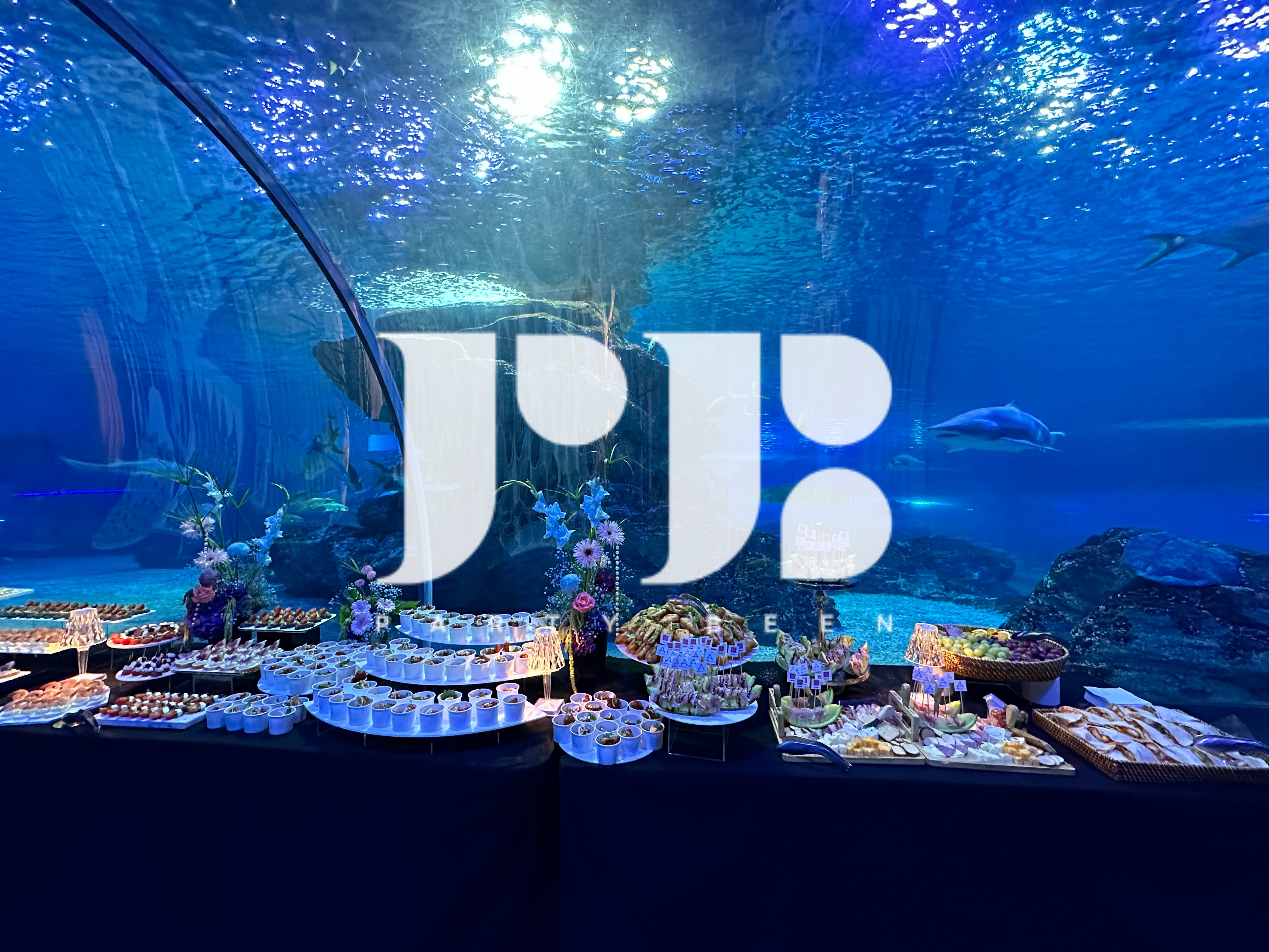 아쿠아리움 GSTAR